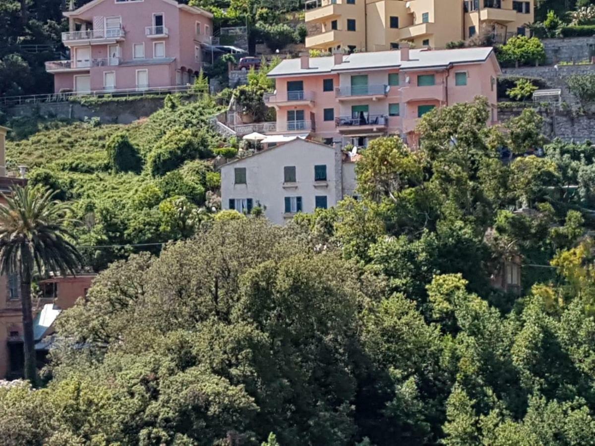 Ferienwohnung Ai Pastelli Zoagli Exterior foto